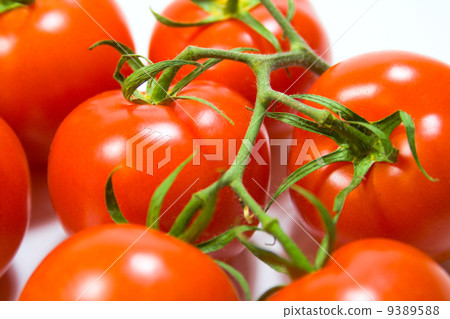 fresh tomatoes 9389588