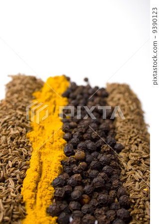 various spices 9390123