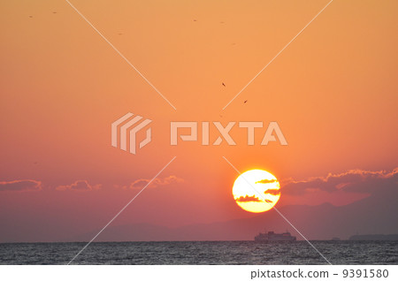 夕陽 夕陽 9391580
