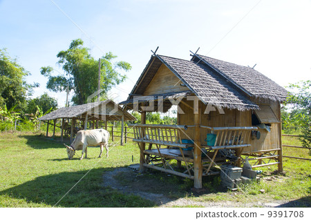 高樓住宅 9391708