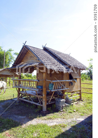 High floor dwelling 9391709