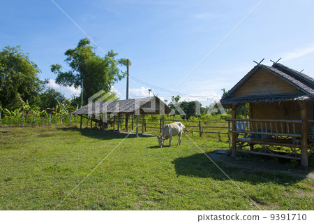穀倉和高層住宅 9391710