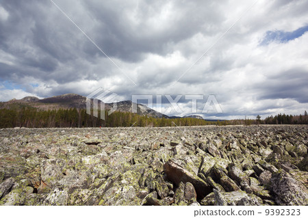 Beautiful view 9392323