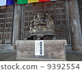 Nemotoimono 9392554