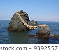 Couple rock 9392557