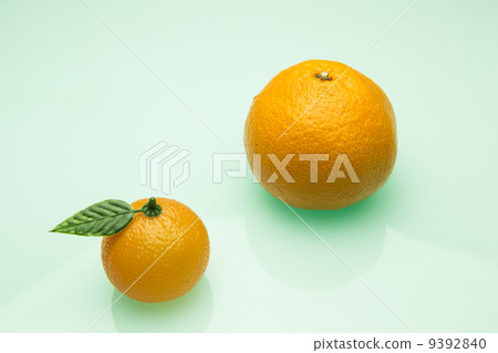Fake and genuine oranges Fake and genuine oranges 9392840