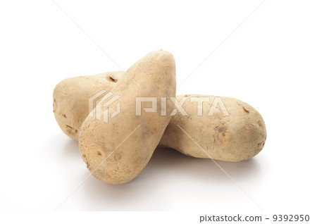 potato  9392950