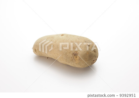 potato  9392951
