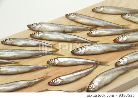 Festival of wagasu 9393525