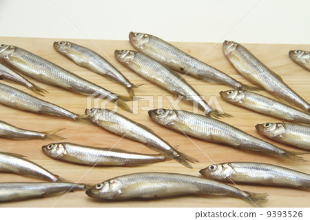 Festival of wagasu 9393526