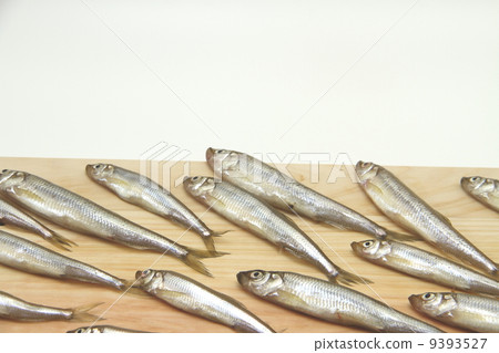 Festival of wagasu Festival of wagasu 9393527