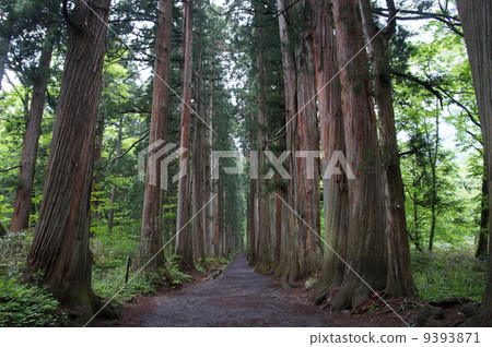 Togakushi神社 9393871