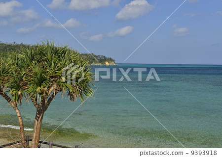 Emerald green sea 9393918