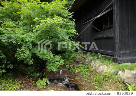 Nippon Onsengyo Tsuru no yu Nippon Onsengyo Tsuru no yu 9393929