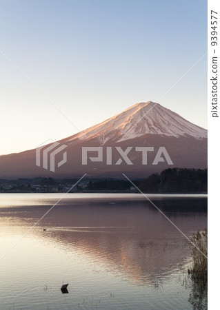 Shinonomezu Fuji Shinonomezu Fuji 9394577