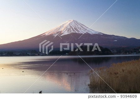 Dawn Fuji Dawn Fuji 9394609