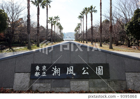 東京都海濱公園 東京都海濱公園 9395868