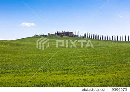 Tuscan farmhouse and cypress trees 9396973