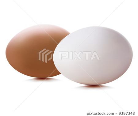 Egg. Vector illustration 9397348