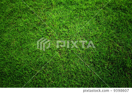 Green grass background. 9398607