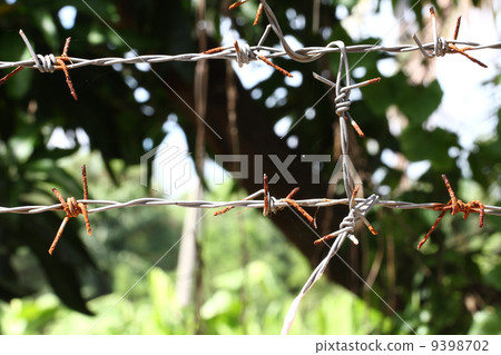 Rusty barbwire 9398702