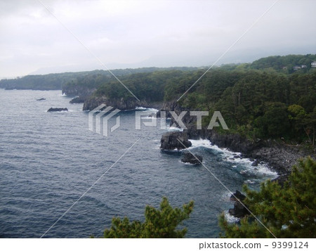 伊豆Jogagasaki海岸的碼頭 9399124