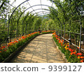 Ashikaga flower park flower tunnel 9399127