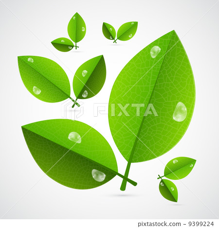 Abstract Vector Green Leaves Isolated on White... - Stock Illustration ...