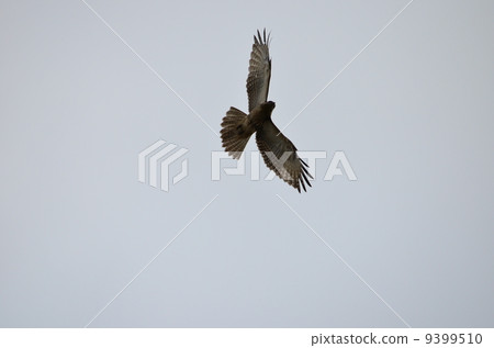 沒有天空！ 9399510