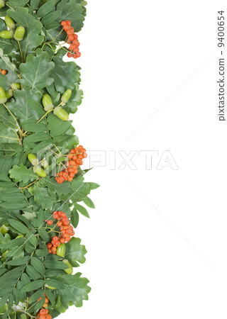green border green border 9400654