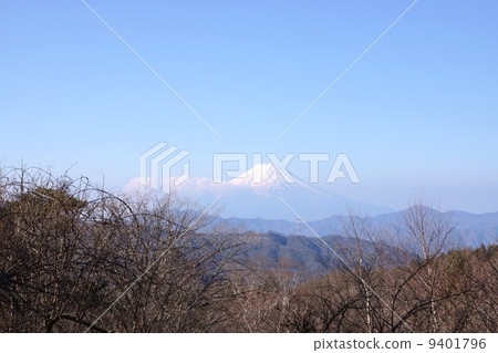 Fujimihei的富士山 Fujimihei的富士山 9401796