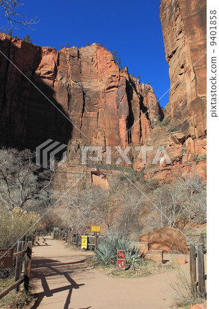 Zion National Park Zion National Park 9401858