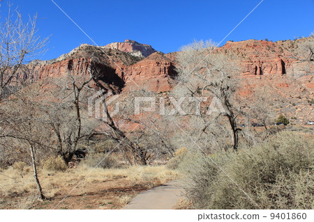 錫安國家公園 9401860