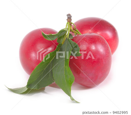 Plums isolated on white background 9402995