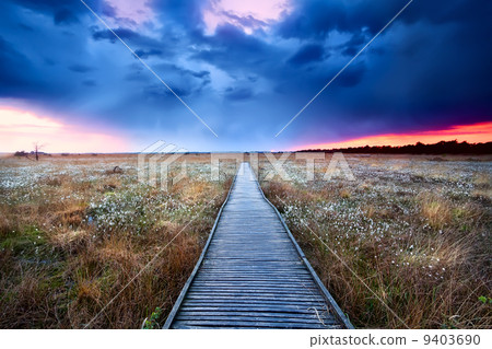 wooden path on swamp at sunset 9403690