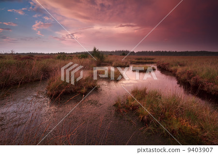 dramatic sunset over swamp 9403907