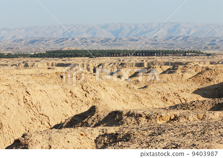 Arava desert in the first rays of the sun 9403987