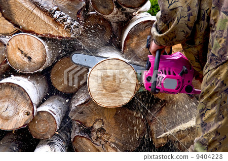 Firewood with chainsaw 9404228