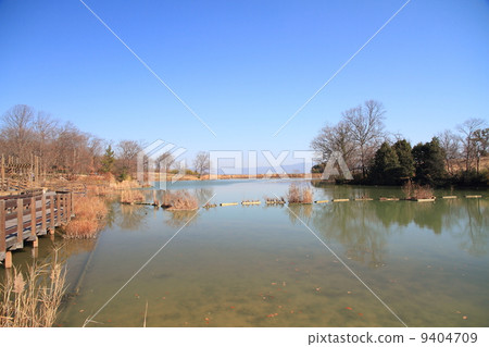 winter park 9404709