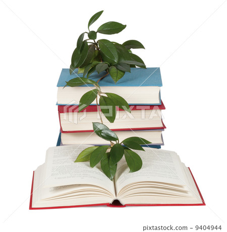 A stack of books with a flower 9404944