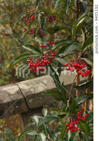 A million A million 9405192