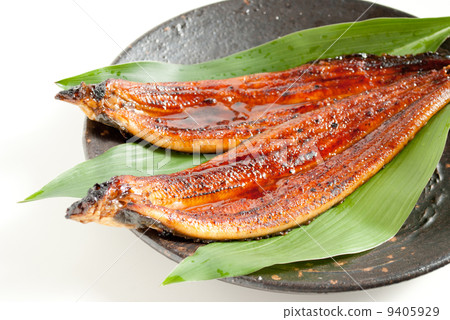 Domestic eel (from Kagoshima prefecture) 9405929