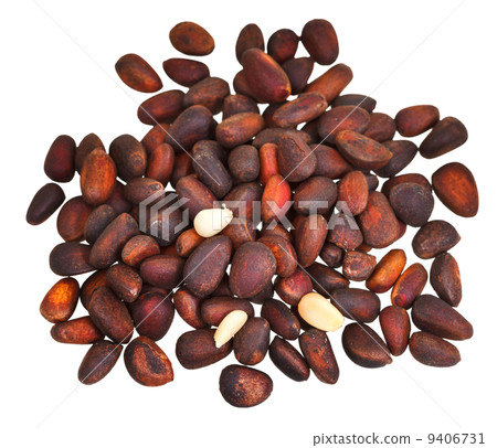 many of cedar nuts isolated 9406731