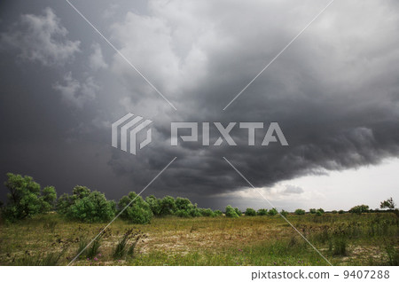 Field, green bushes and trees, the sky with thunderclouds Field, green bushes and trees, the sky with thunderclouds 9407288