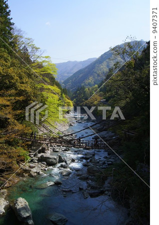 Kazura的吊橋 9407371