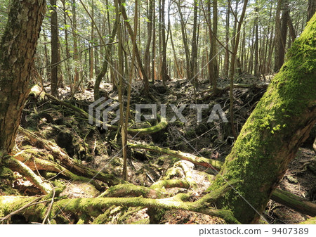 A tree A tree 9407389