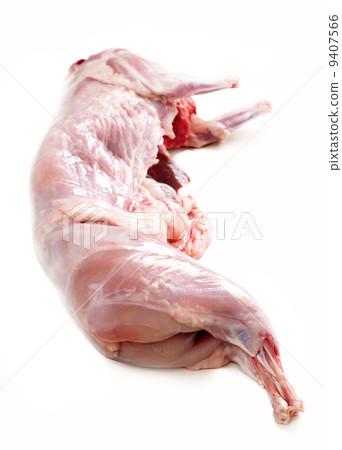 Carcass of Rabbit isolated on white Carcass of Rabbit isolated on white 9407566