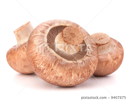 Brown champignon mushroom Brown champignon mushroom 9407875