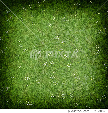 Green grass lawn 9408032