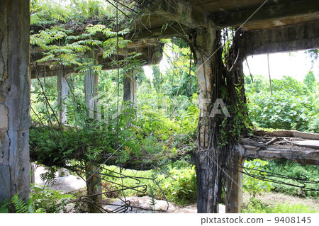 追踪Pelliu島的日本軍事局 9408145